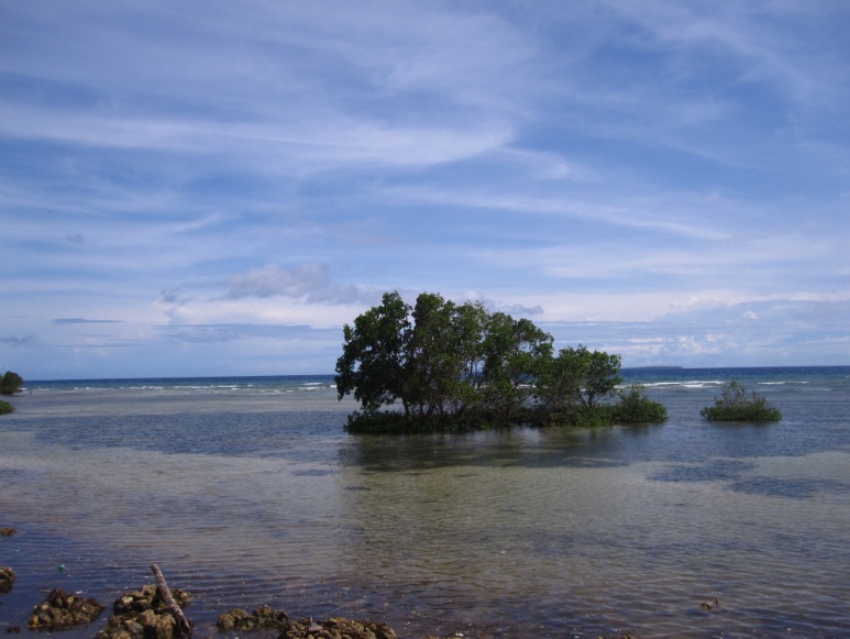 Water in Bohol