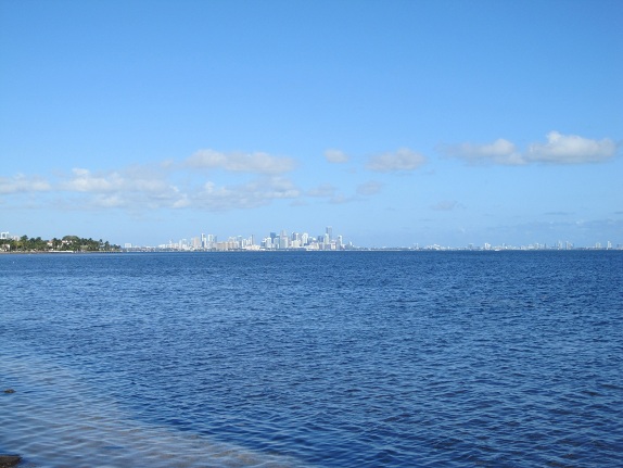 View of Downtown Miami