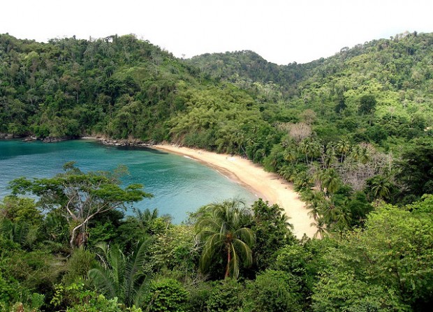 beach in Tobago