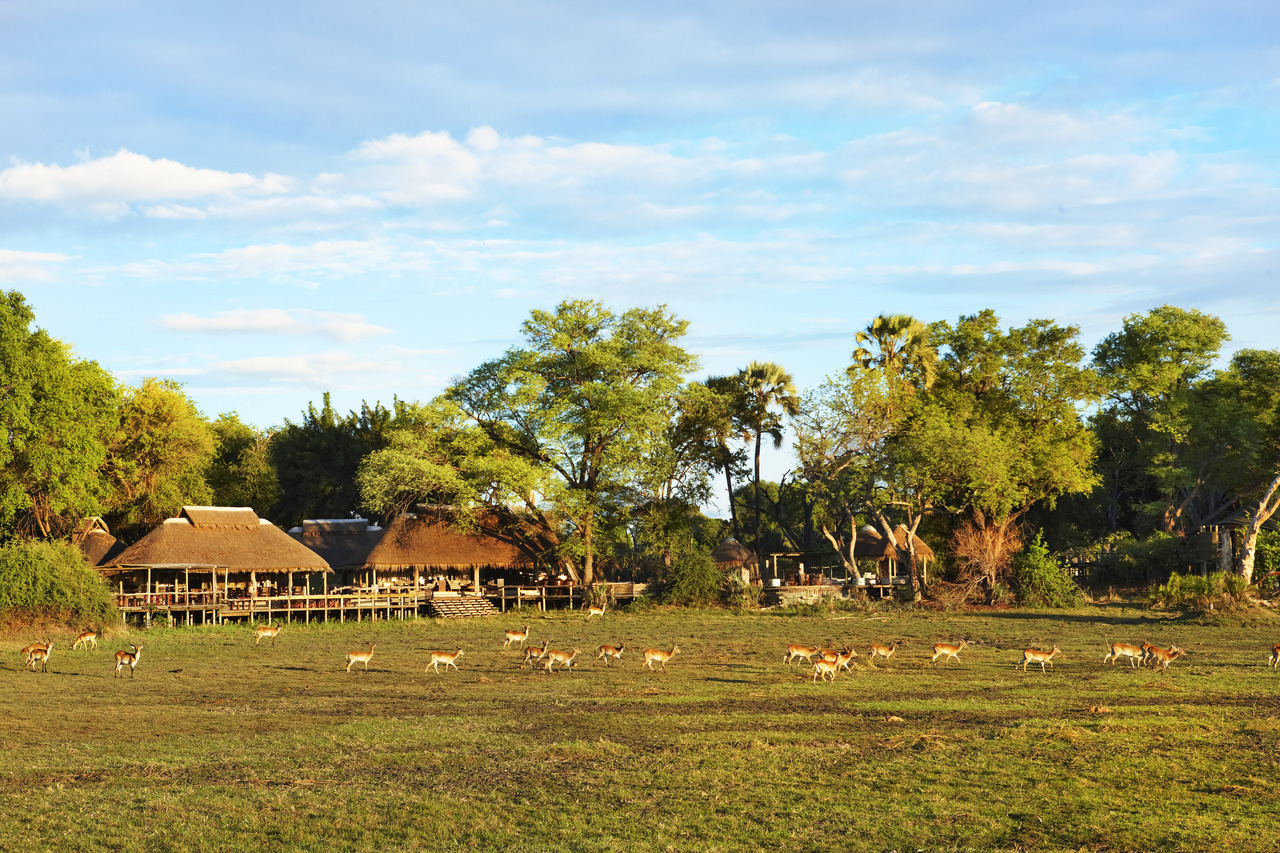 camps in Botswana, Africa.