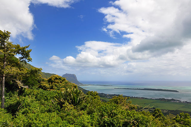scenery in Mauritius