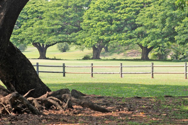 scenery in Darwin