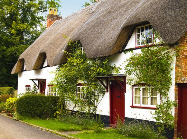 thatched roofed cottage
