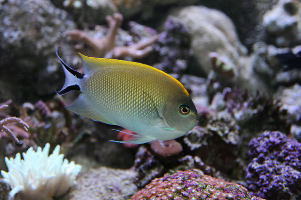 Sydney Aquarium