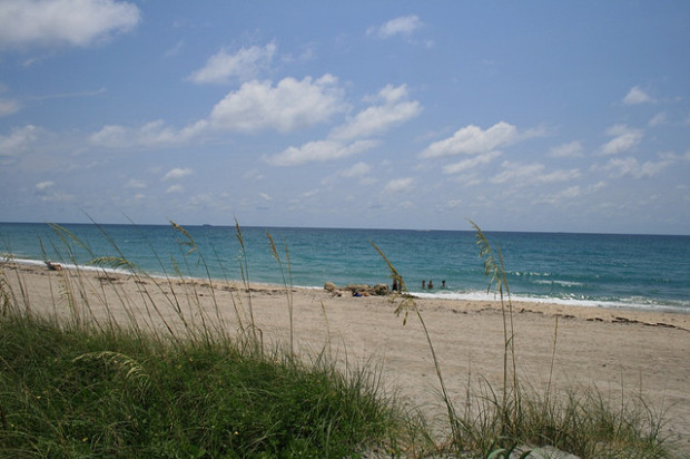 the beach in Florida