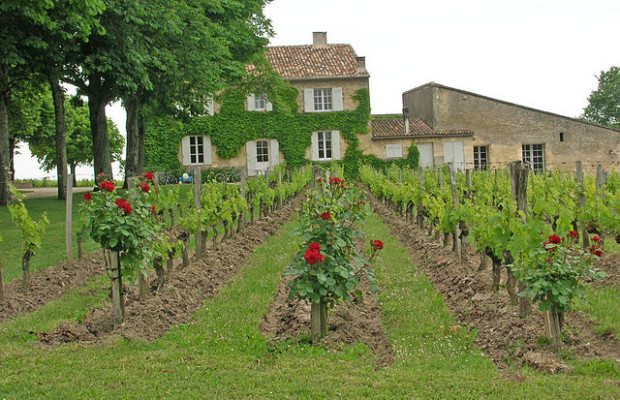 one of the best wineries in Europe 