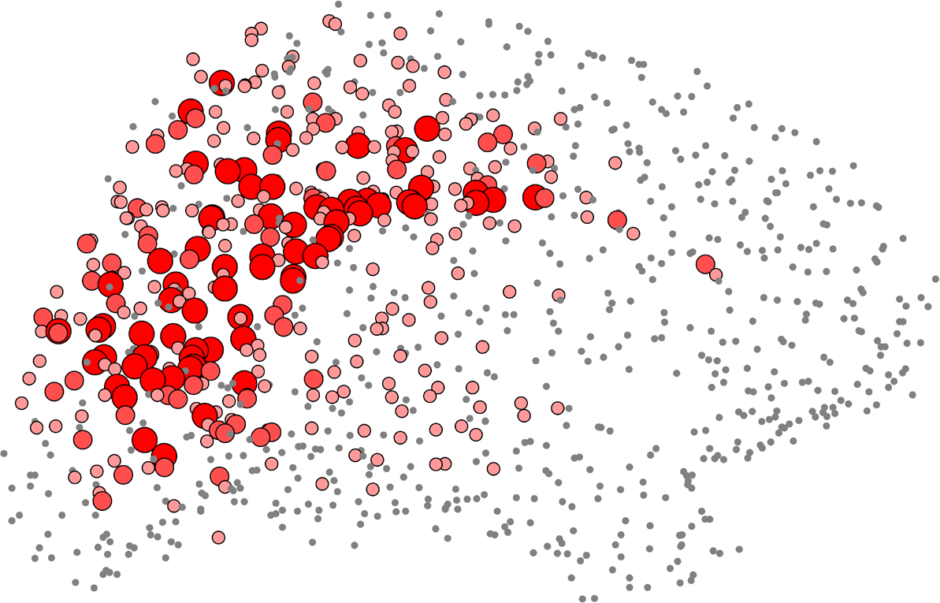 Mapping_the_Connection_Matrix_of_the_Human_Brain